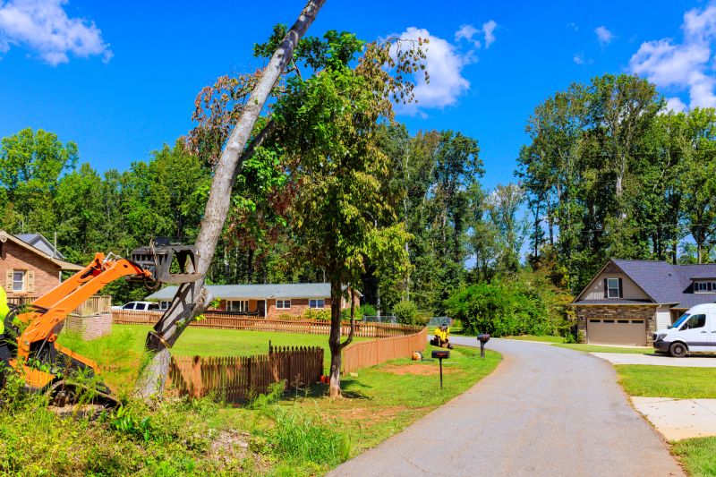 Site Preparation for Removal